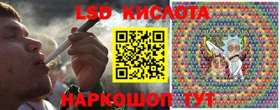 гашик Гай