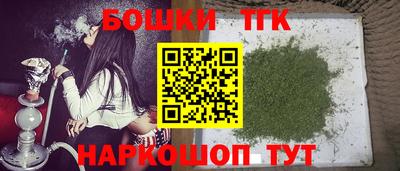 молекула духа Гатчина