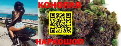 гашик Гай