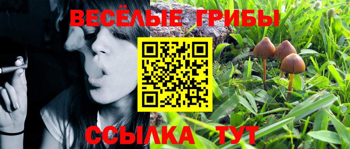 Моздок  Псилоцибиновые грибы прущие грибы  как найти наркотики  Вход с VPN  Псилоцибиновые грибы MAGIC MUSHROOMS 