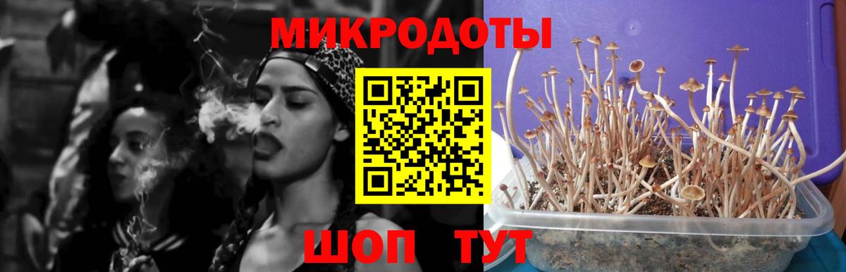Галлюциногенные грибы мухоморы Моздок